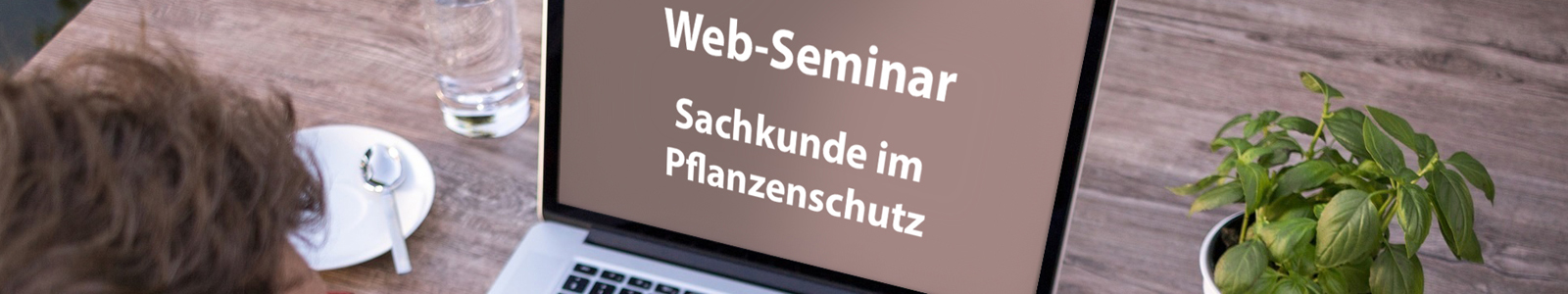 Aufgeklappter Laptop © Dienstleistungszentren Ländlicher Raum